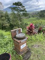 Jatiluwih Rice terraces in W Bali